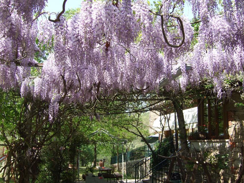 Agriturismo Oasi Verde Mengara Otel Gubbio Dış mekan fotoğraf
